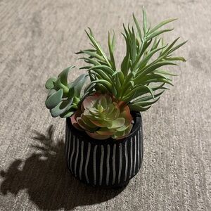 Cost Plus World Market Faux Succulent in Black Planter